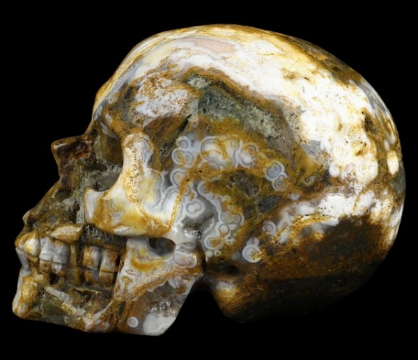 Skull Ocean Jaspis